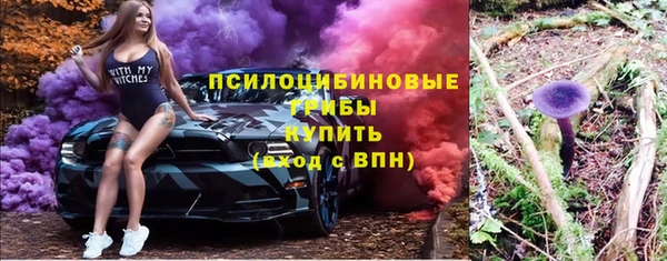 spice Алзамай