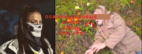 PSILOCYBIN Покачи