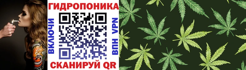 где купить наркоту Покачи Бошки марихуана VHQ